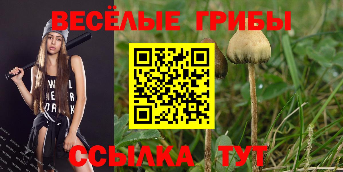 Псилоцибиновые грибы MAGIC MUSHROOMS Обь